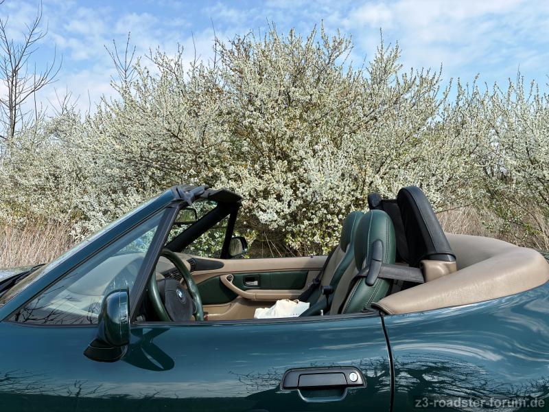 Bei Amoltern Kaiserstuhl