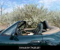 Bei Amoltern Kaiserstuhl