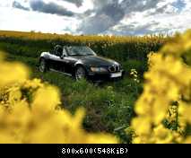 Blümchenpflücker