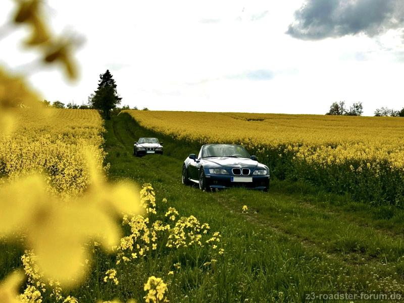 Fahrfreude trifft Natur