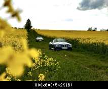 Fahrfreude trifft Natur