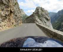 rsz img 0509