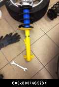 IMG 0517