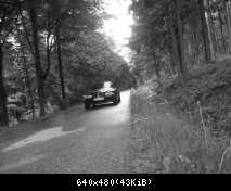 Wilderer
