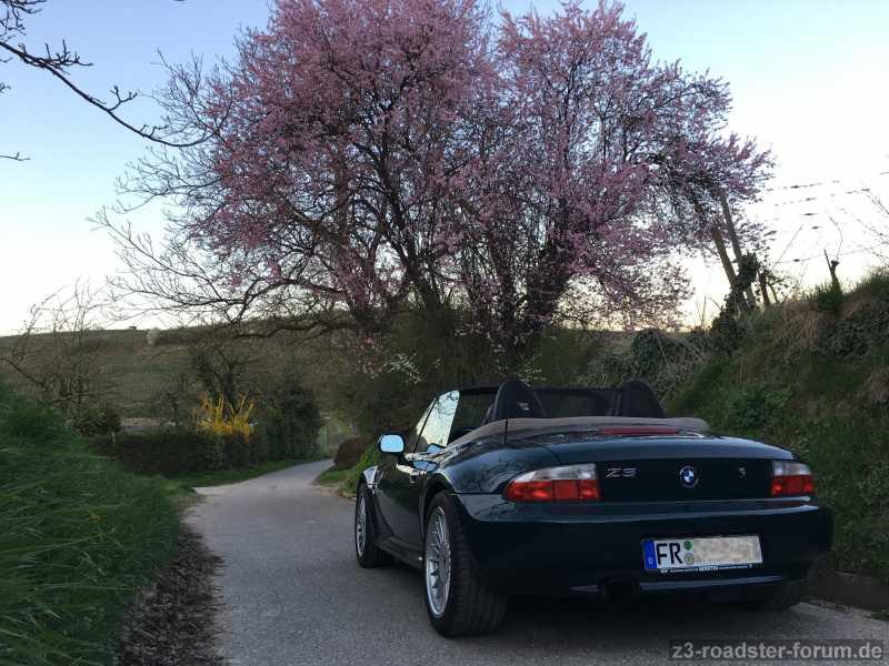 Der Frühling ist da...