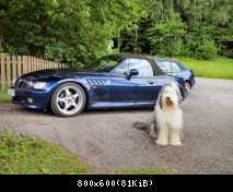die Lady und der Tramp IMG 1424